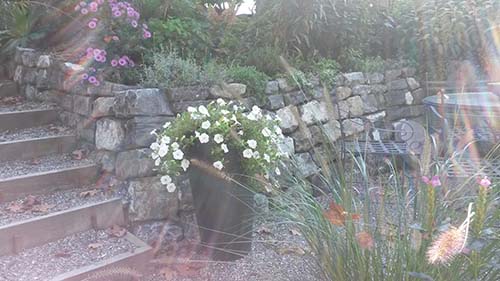 Garten und Landschaft-Planung und Bau, Ing. Anton Moosbrugger